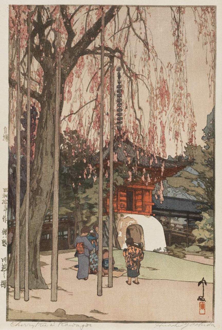 Cherry Tree in Kawagoe woodblock print