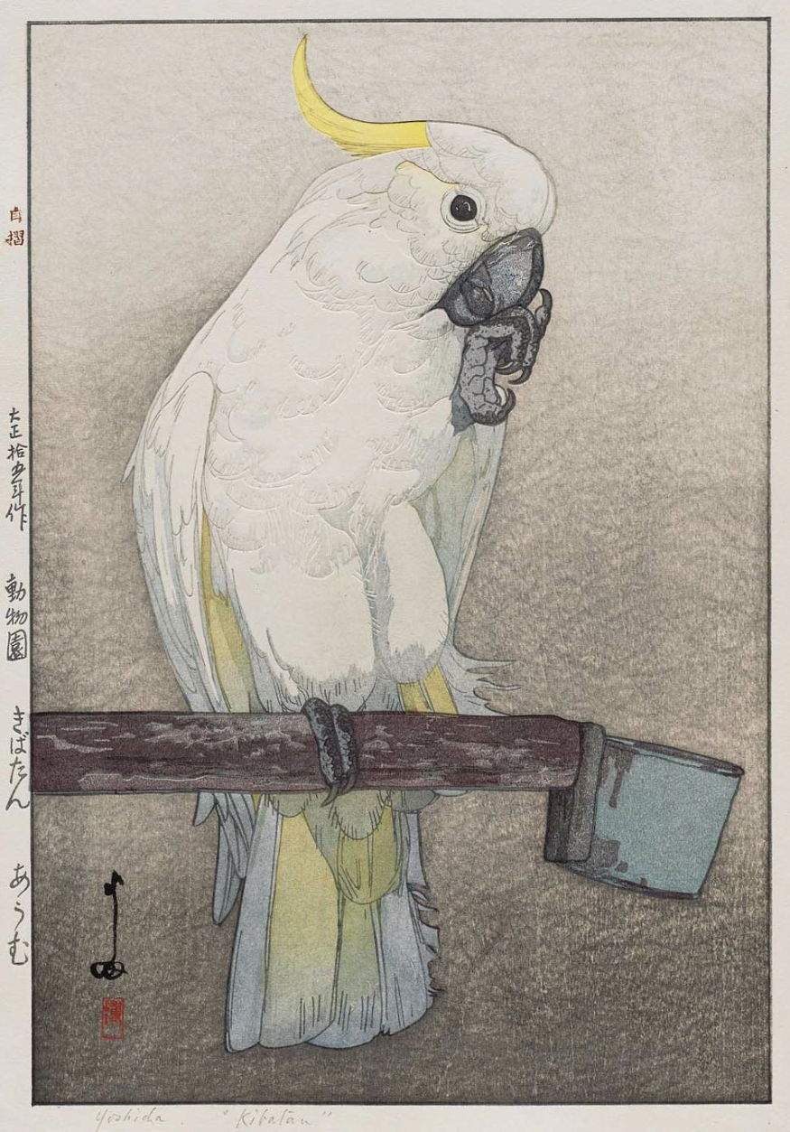 Kibatan Parrot woodblock print