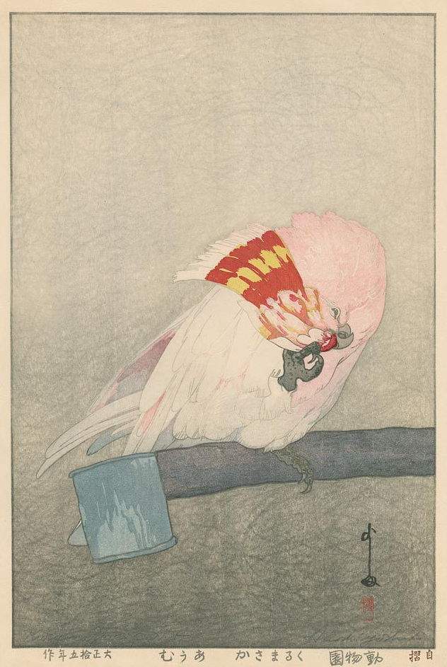 Hiroshi Yoshida “Kurumazaka Parrot” 1926 woodblock print