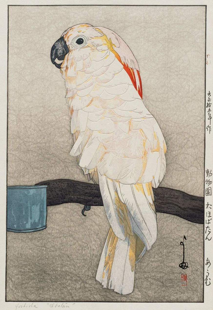 Obatan Parrot woodblock print