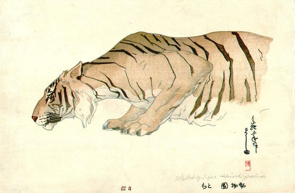 Sketch of Tiger woodblock print