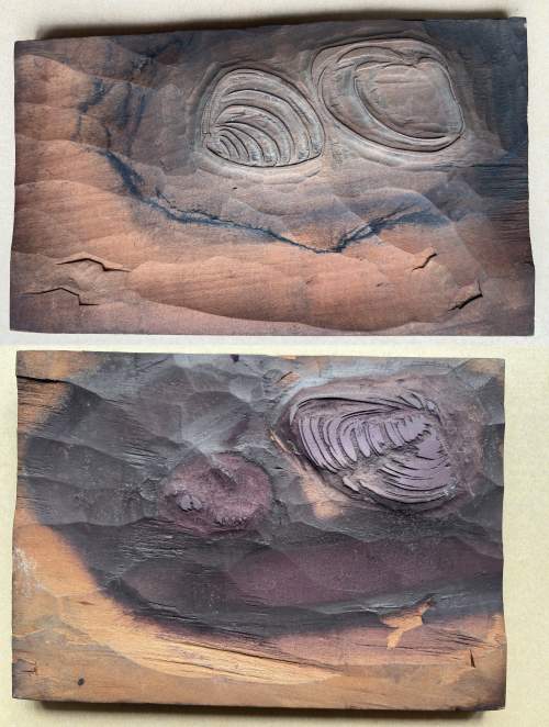 Clam fan woodblocks supplementary image