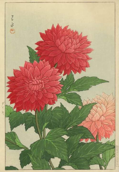 Kawase Hasui - Dahlias thumbnail