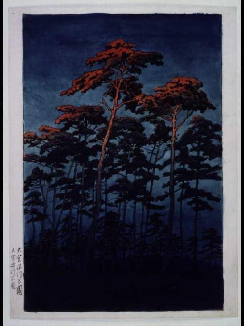 Watercolour supplementary image