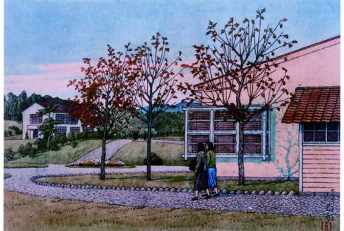 Watercolour supplementary image