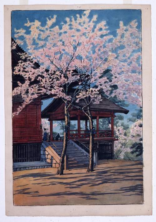 Watercolour supplementary image