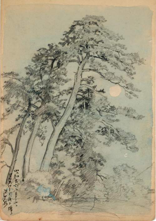 Pencil sketch supplementary image