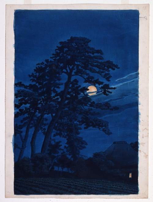 Watercolour supplementary image