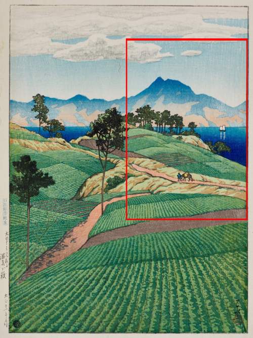 Crop supplementary image