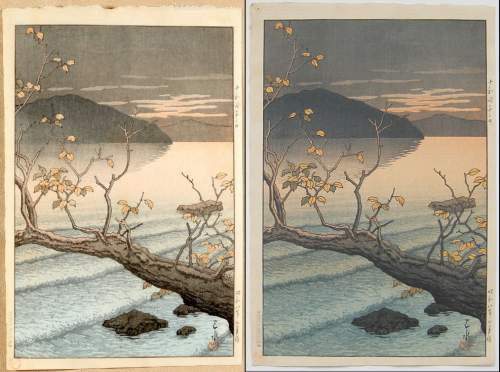 Variant impression supplementary image