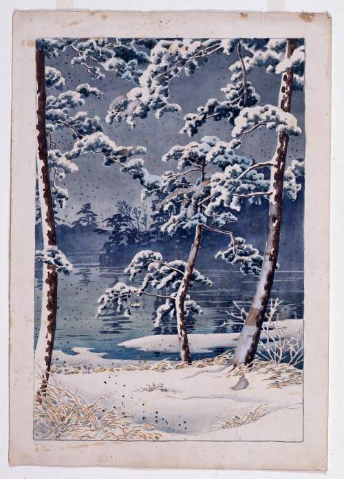 Watercolour supplementary image