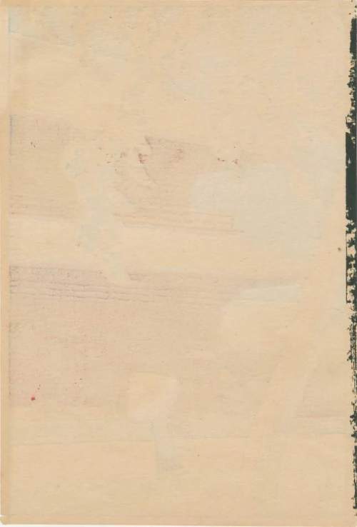 Verso supplementary image