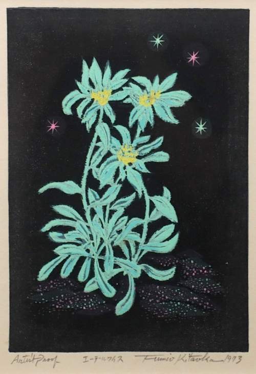 Kitaoka Fumio - Edelweiss Flower thumbnail