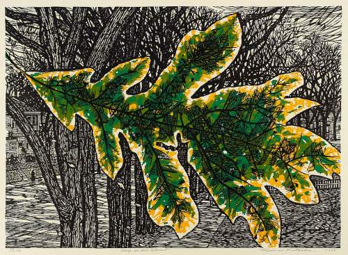 Kitaoka Fumio - Leaf in the Street thumbnail