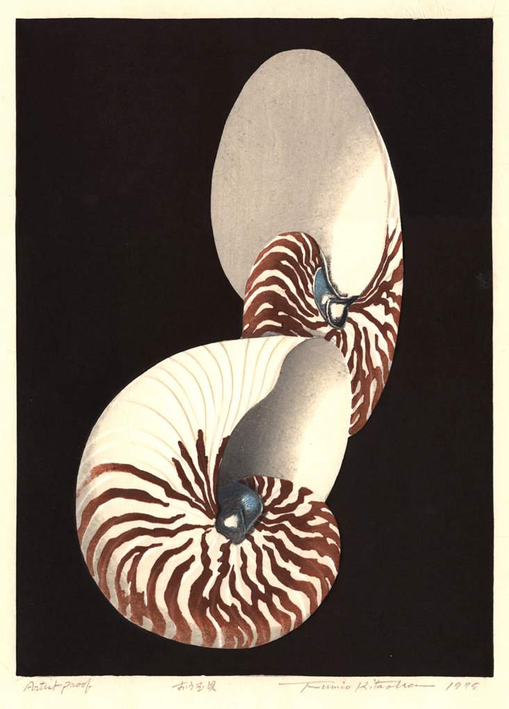 Nautilus Shells - Kitaoka Fumio Catalogue woodblock print