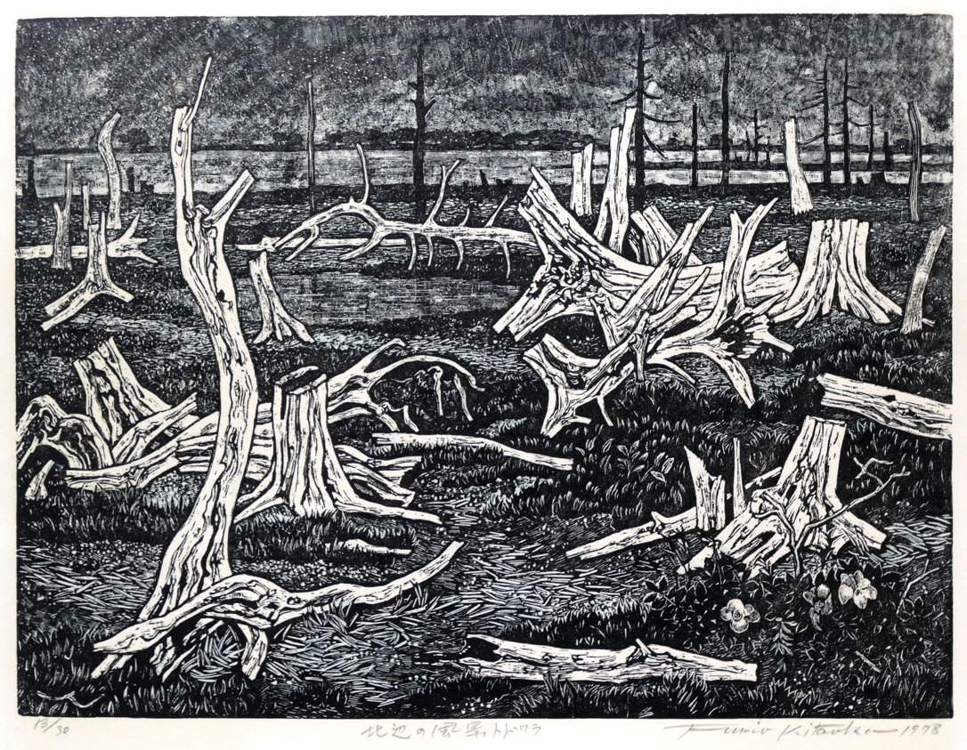 Northern Todowara - Kitaoka Fumio Catalogue woodblock print