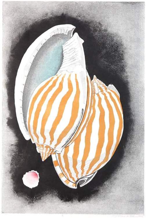 Shells - Kitaoka Fumio Catalogue woodblock print