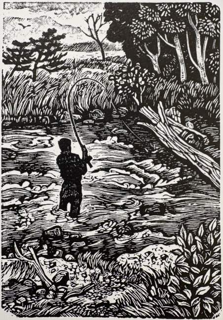 Trout Fishing from 