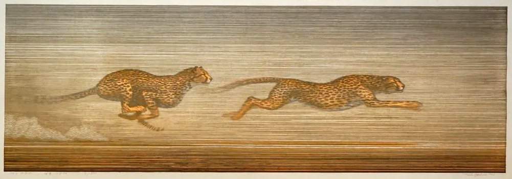 70+ MPH woodblock print
