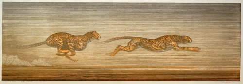 Toshi Yoshida - 70+ MPH thumbnail