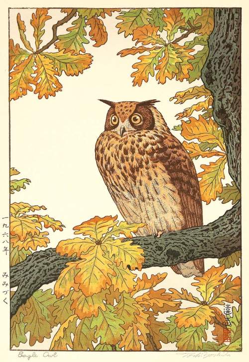 Toshi Yoshida - Eagle Owl thumbnail