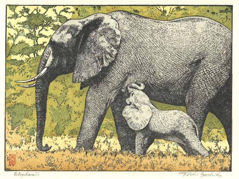 Elephant woodblock print