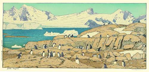 Toshi Yoshida - Gentoo Penguins thumbnail