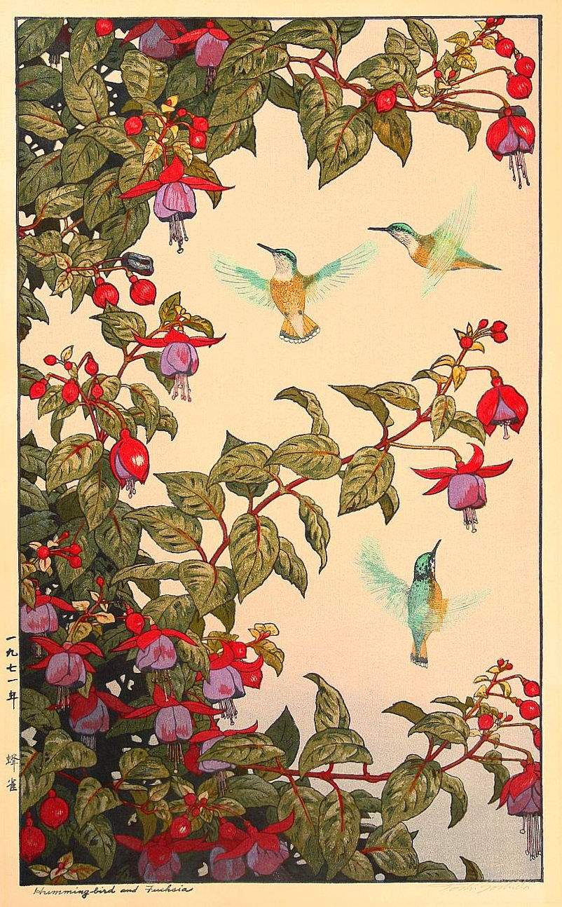 Humming-bird and Fuchsia woodblock print