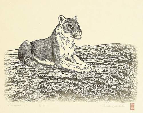 Toshi Yoshida - Lioness A thumbnail