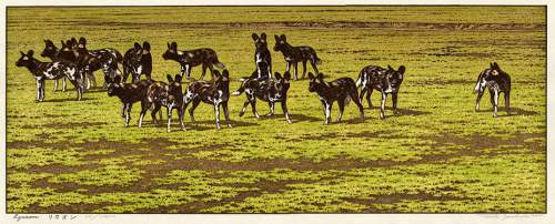 Toshi Yoshida - Lycaon thumbnail