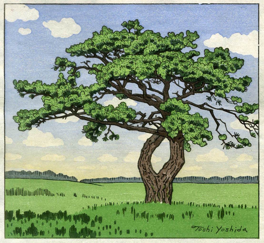 Toshi Yoshida “Oak Tree”  woodblock print