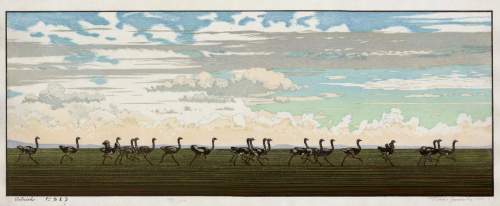 Toshi Yoshida - Ostrich thumbnail