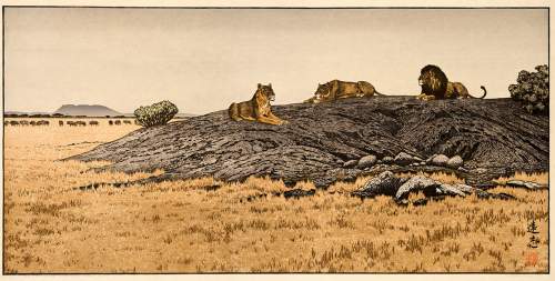 Toshi Yoshida - Peaceful Wild Animals thumbnail